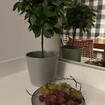 Apartment Pollo Resort, Summer Wind Sunny Beach